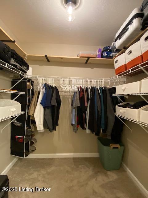 121 Redwood Dr, Bardstown, KY 40004 - walk in closet featuring carpet flooring