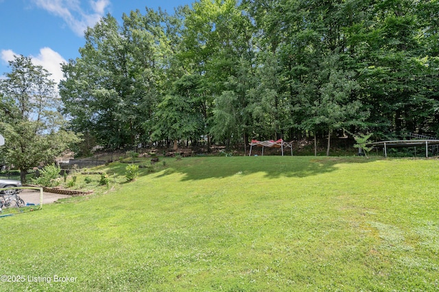 7503 Meaganwood Pl, Louisville, KY 40214 - photo 7