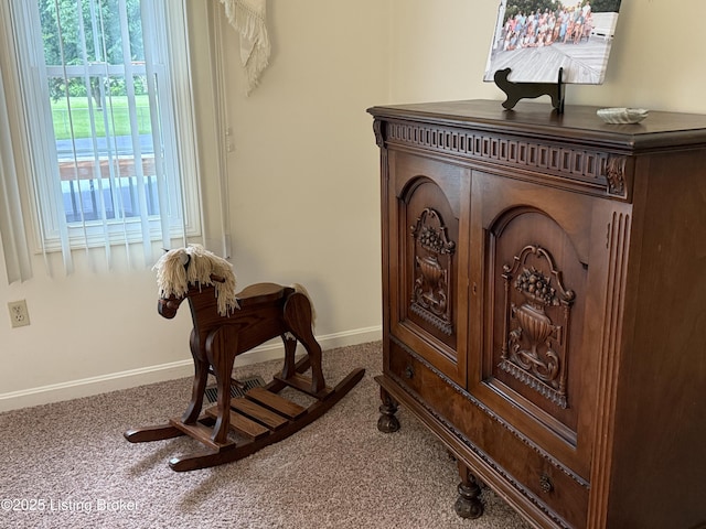 7206 Arrowwood Rd, Louisville, KY 40222 - detailed view of carpet flooring and baseboards