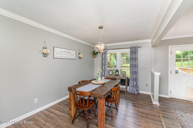4211 Machupe Dr, Louisville, KY 40241 - photo 9