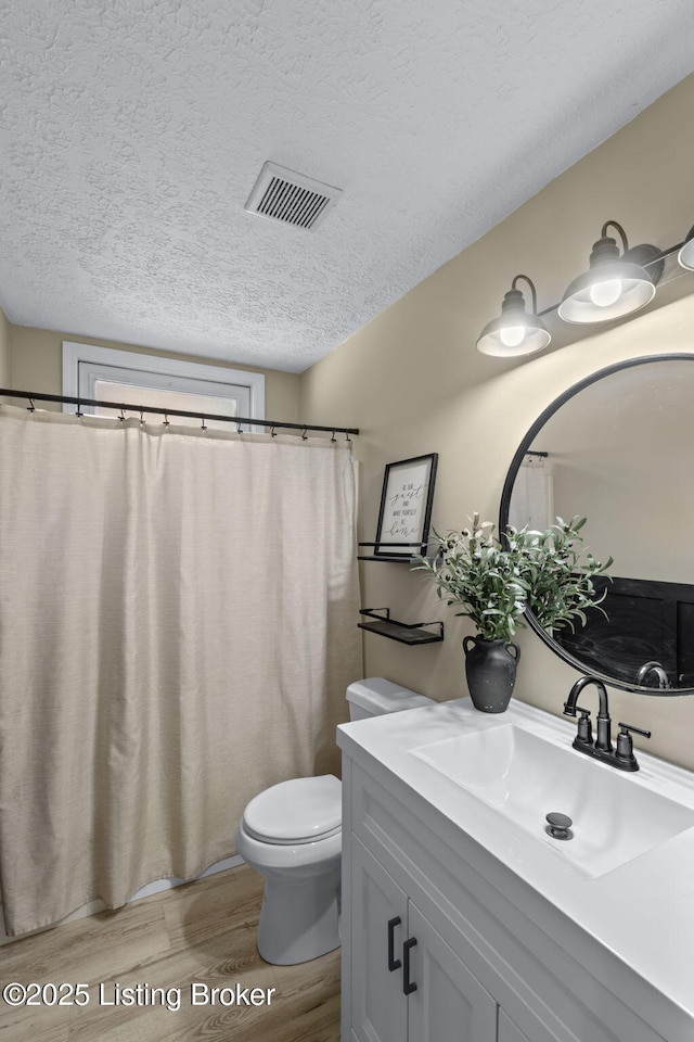 508 Auburn Oaks Dr, Louisville, KY 40214 - bathroom featuring wood finished floors, vanity, and a textured ceiling