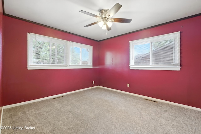 3318 Belmont Rd, Louisville, KY 40218 - photo 21