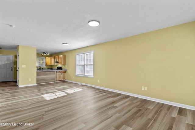 1601 Wilson Ave, Louisville, KY 40210 - unfurnished living room featuring light wood finished floors and healthy amount of natural light