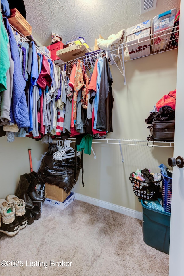 100 Hopewell Ct, Elizabethtown, KY 42701 - photo 15