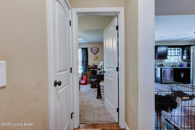 100 Hopewell Ct, Elizabethtown, KY 42701 - photo 17