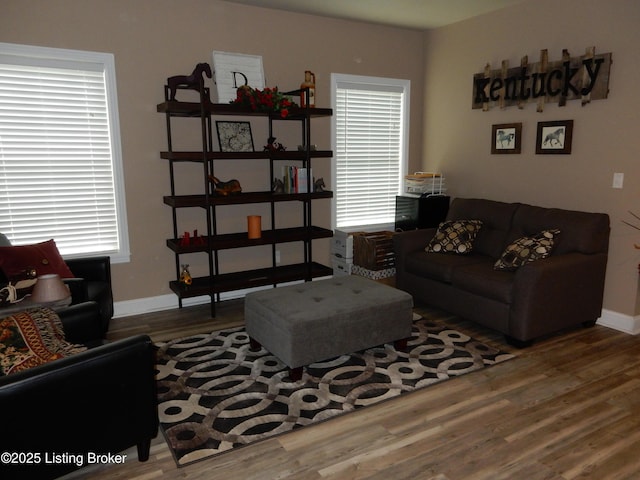 193 Pare Ct, Shepherdsville, KY 40165 - living area with wood finished floors and baseboards
