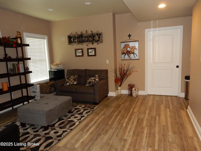 193 Pare Ct, Shepherdsville, KY 40165 - living room featuring light wood finished floors and recessed lighting