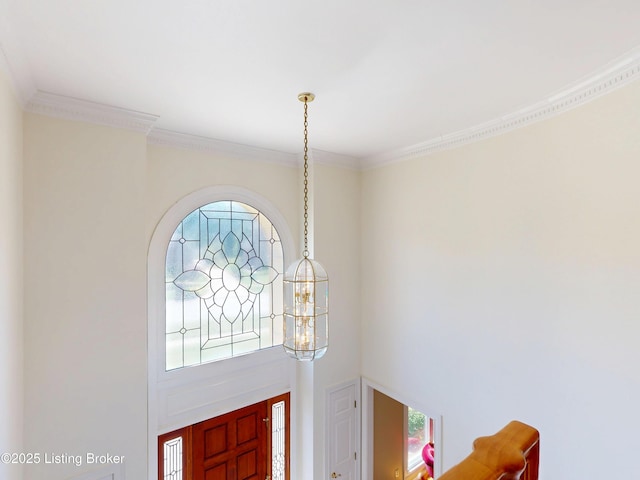 7201 Wood Briar Rd, Louisville, KY 40241 - photo 8