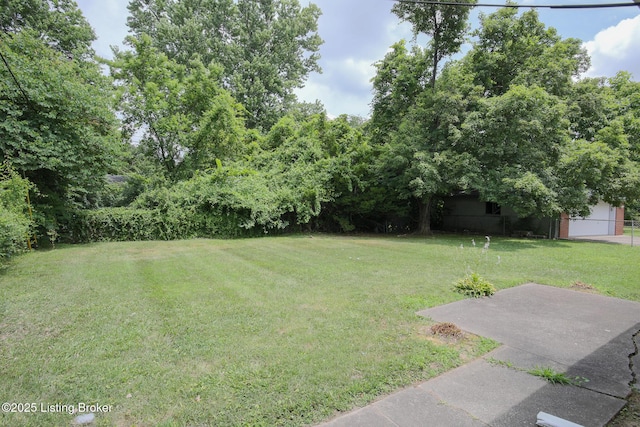 2944 Rio Rita Ave, Louisville, KY 40220 - photo 16