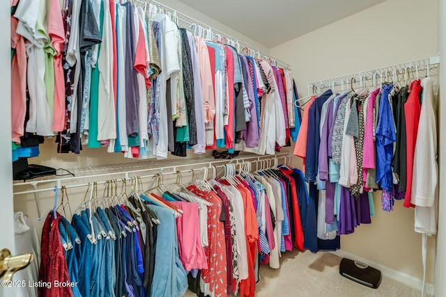 6708 Island Pointe Pl, Louisville, KY 40258 - walk in closet with carpet floors