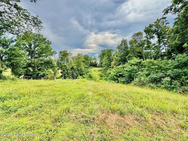 9068 Mackville Rd, Springfield, KY 40069 - view of local wilderness