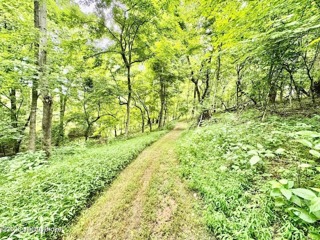 9068 Mackville Rd, Springfield, KY 40069 - view of wooded area