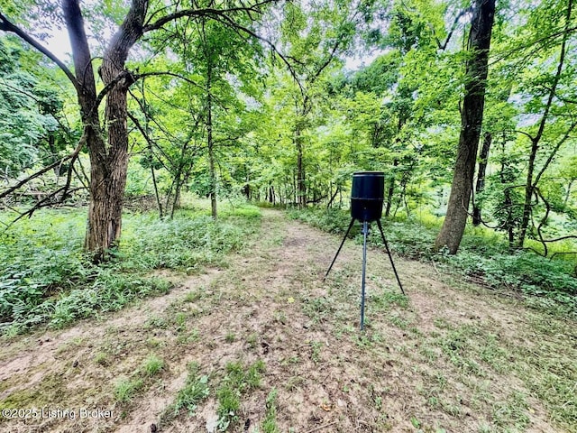 9068 Mackville Rd, Springfield, KY 40069 - view of yard featuring a view of trees