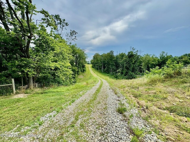 9068 Mackville Rd, Springfield, KY 40069 - view of dirt / gravel road featuring a view of trees