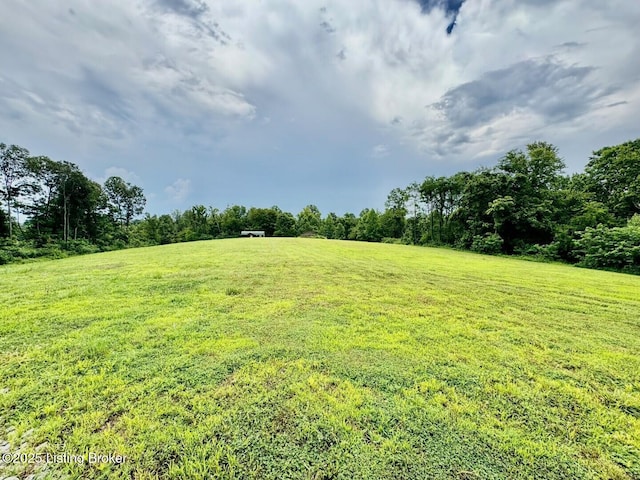 9068 Mackville Rd, Springfield, KY 40069 - view of grassy yard featuring a rural view