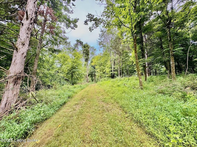 9068 Mackville Rd, Springfield, KY 40069 - view of yard with a wooded view