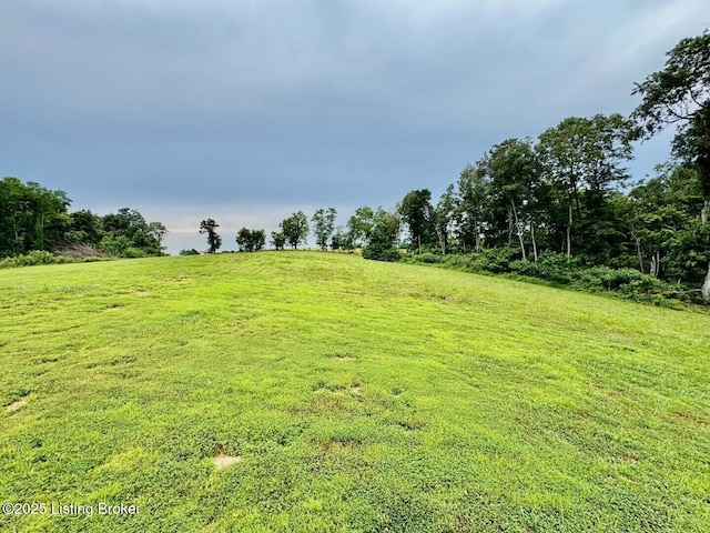 9068 Mackville Rd, Springfield, KY 40069 - view of green lawn featuring a view of rural / pastoral area