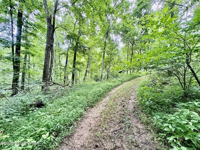 9068 Mackville Rd, Springfield, KY 40069 - view of tree filled area