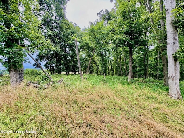 9068 Mackville Rd, Springfield, KY 40069 - view of nature