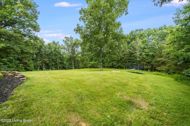 1160 Ditto Rd, Waddy, KY 40076 - photo 63