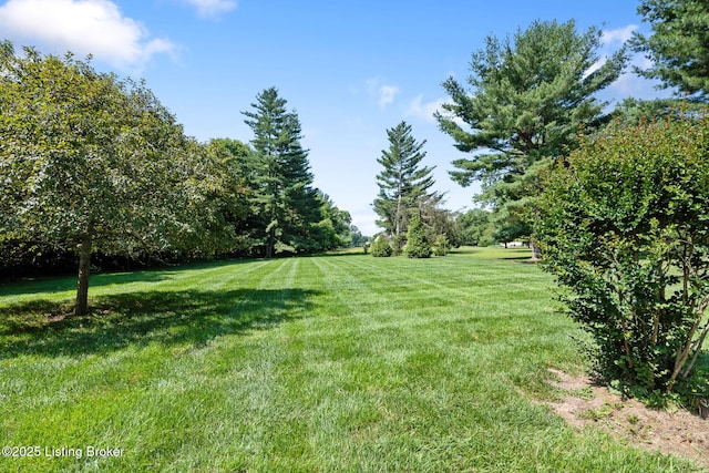 13800 S Harbour View Ct, Prospect, KY 40059 - photo 58