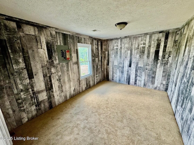 6234 Mackville Rd, Springfield, KY 40069 - empty room featuring wood walls, carpet, and a textured ceiling