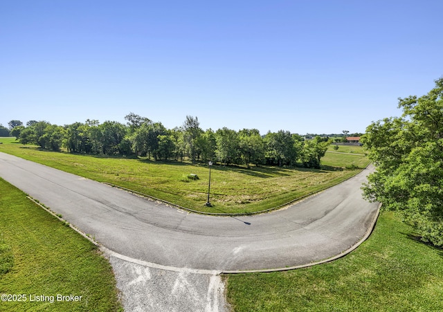 1401 Plum Creek Ct, Finchville, KY 40022 - photo 21