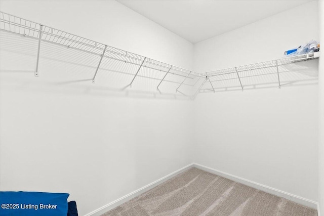 116 Calumet Loop, Elizabethtown, KY 42701 - photo 30