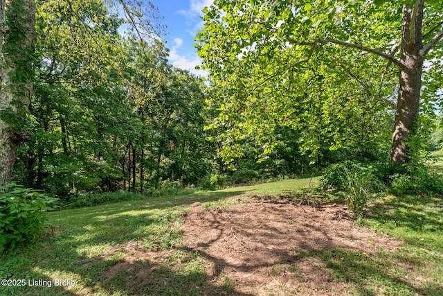 360 Van Buren Rd, Mount Eden, KY 40046 - view of green lawn with a wooded view
