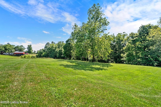 360 Van Buren Rd, Mount Eden, KY 40046 - view of green lawn