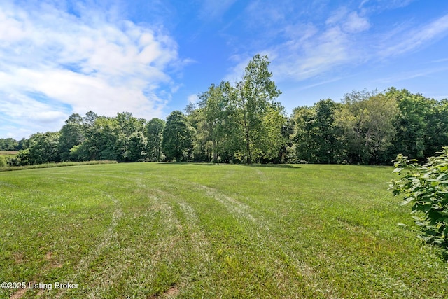 360 Van Buren Rd, Mount Eden, KY 40046 - view of green lawn featuring a view of rural / pastoral area and a view of trees