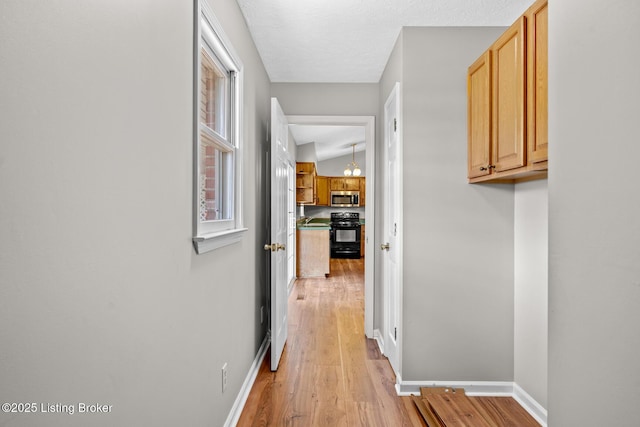 360 Van Buren Rd, Mount Eden, KY 40046 - corridor featuring light wood-style flooring and baseboards