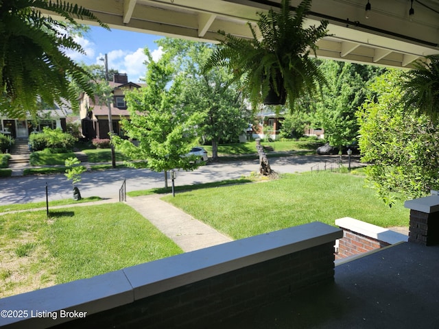 1860 Alfresco Pl, Louisville, KY 40205 - view of grassy yard