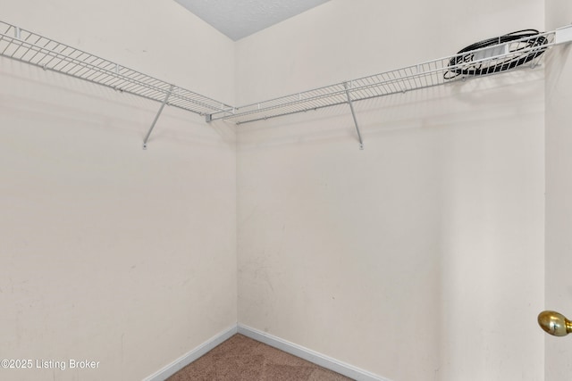 6621 Arbor Creek Dr, Louisville, KY 40228 - photo 31