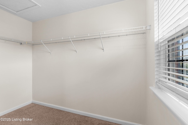 6621 Arbor Creek Dr, Louisville, KY 40228 - photo 36