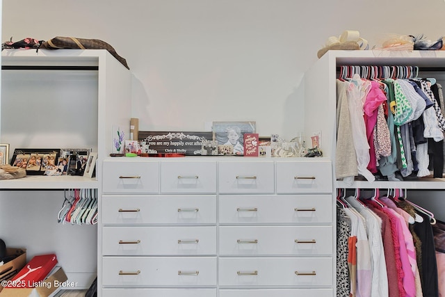 1160 Equestrian Lakes Ln, Finchville, KY 40022 - view of spacious closet