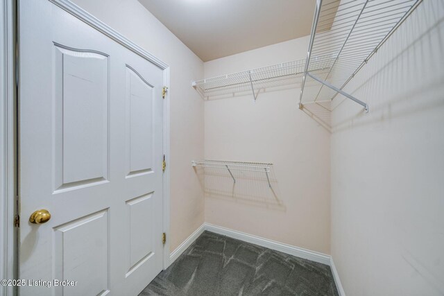 4309 Evershead Pl, Louisville, KY 40241 - photo 42