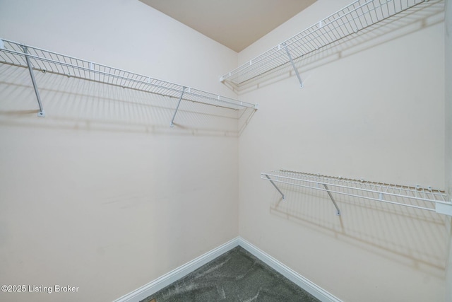 4309 Evershead Pl, Louisville, KY 40241 - photo 43