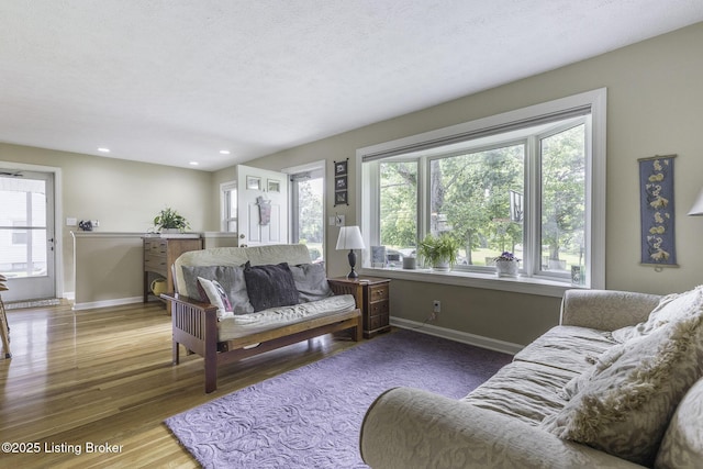 10703 Cedar Creek Rd, Louisville, KY 40229 - living area with wood finished floors and recessed lighting