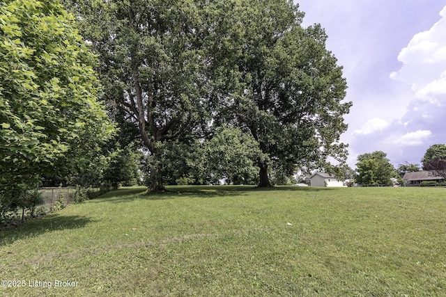 10703 Cedar Creek Rd, Louisville, KY 40229 - view of green lawn