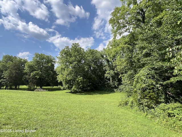 4200 Fort Ave, Vine Grove, KY 40175 - photo 37