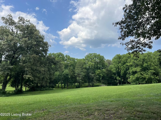 4200 Fort Ave, Vine Grove, KY 40175 - photo 40