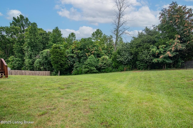 128 Boone Trce, Radcliff, KY 40160 - view of yard
