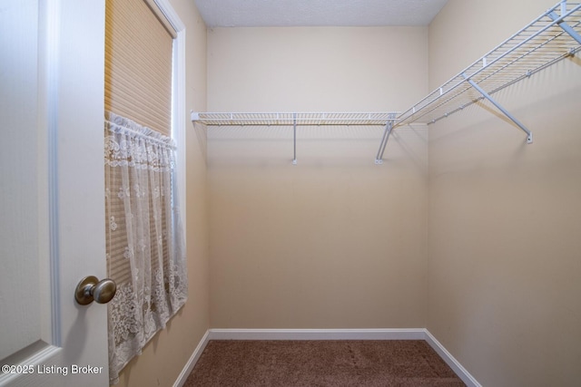 128 Boone Trce, Radcliff, KY 40160 - walk in closet featuring carpet