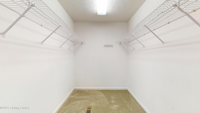 7907 Moss Green Way, Louisville, KY 40291 - photo 24