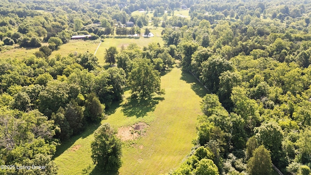 6706 Payton Ln, Crestwood, KY 40014 - photo 49