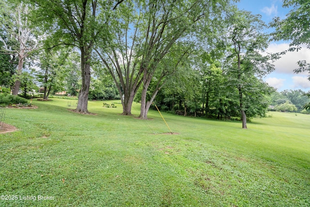 9311-9313 Hi View Ln, Louisville, KY 40272