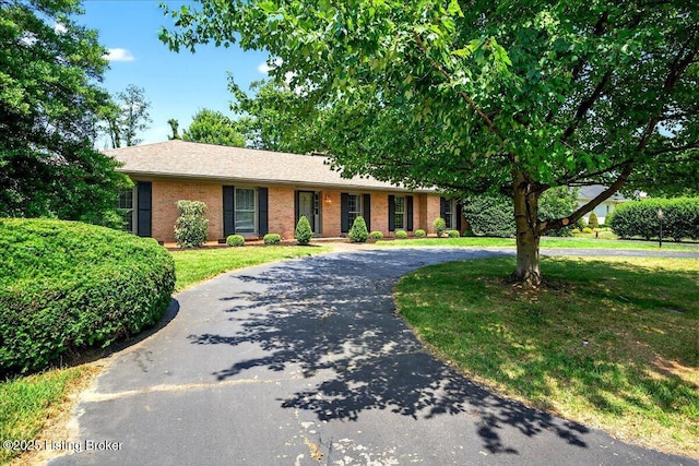 6319 Limewood Cir, Louisville, KY 40222 - photo 23