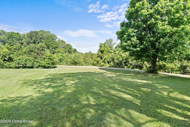 5901 S Watterson Trl, Louisville, KY 40291 - photo 46