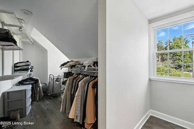 1724 Trevilian Way, Louisville, KY 40205 - spacious closet with dark wood finished floors